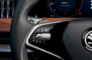 Verabschieden Sie sich vom Scheibenkratzen und frierenden Händen im Winter! Mit diesem Paket können Schnee und Frost ruhig kommen: Freuen Sie sich auf wärmende Features wie dem beheizbaren Lederlenkrad.